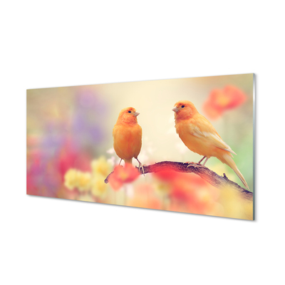 Panel szklany do Kuchni Rodzina Kolorowych Papug