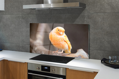 Panel szklany do Kuchni Papuga na Suchej Gałęzi