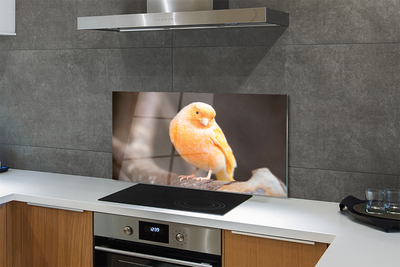 Panel szklany do Kuchni Papuga na Suchej Gałęzi