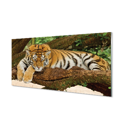 Szklany Panel Drzewo tygrys