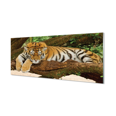 Szklany Panel Drzewo tygrys
