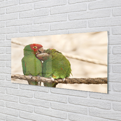 Panel szklany do Kuchni Stado Zielonych Papug