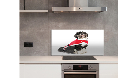 Szkło Ozdobne do Kuchni Portret Spokojnego Psa