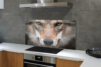 Panel Kuchenny Szklany Intensywne Oczy Wilka