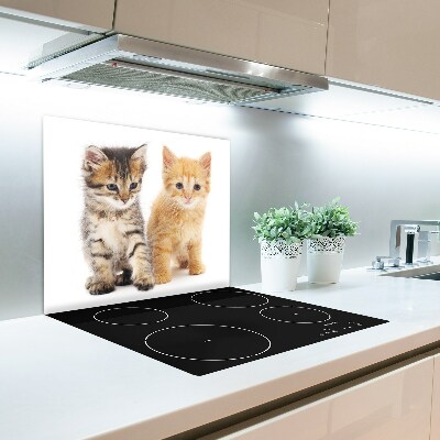 Deska kuchenna Brązowy i rudy kot