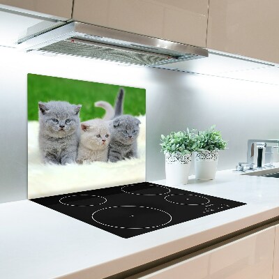 Deska kuchenna Trzy koty na kocu
