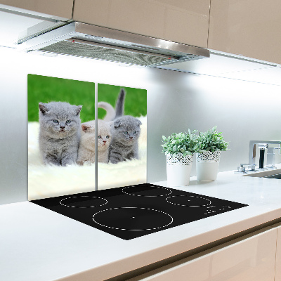 Deska kuchenna Trzy koty na kocu