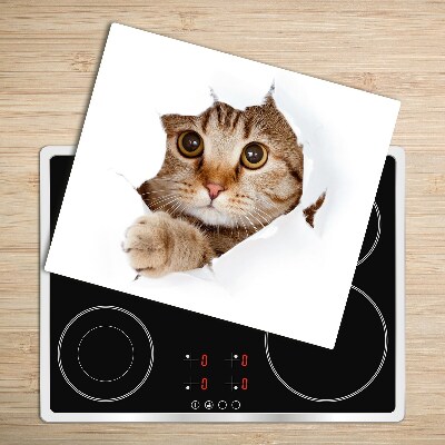 Deska kuchenna Kot