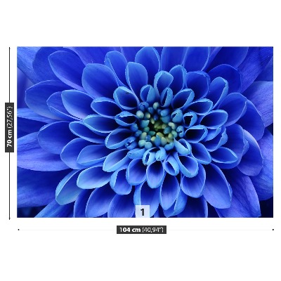 Fototapeta Kwiat Niebieski