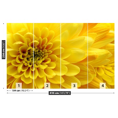 Fototapeta Kwiat Żółty