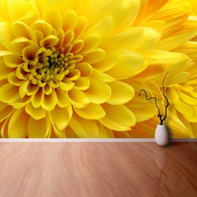 Fototapeta Kwiat Żółty
