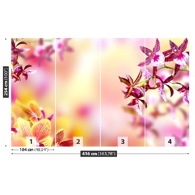 Fototapeta Orchidea Różowy