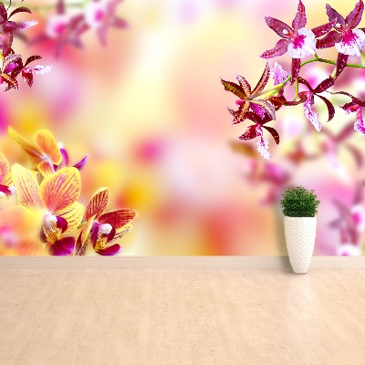 Fototapeta Orchidea Różowy