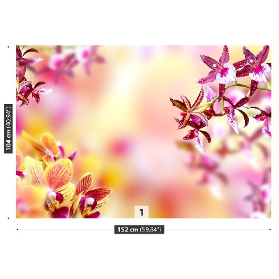 Fototapeta Orchidea Różowy