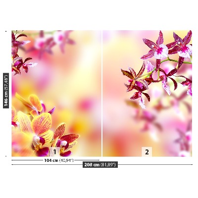 Fototapeta Orchidea Różowy