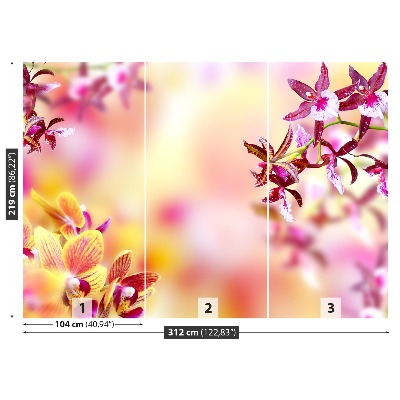 Fototapeta Orchidea Różowy