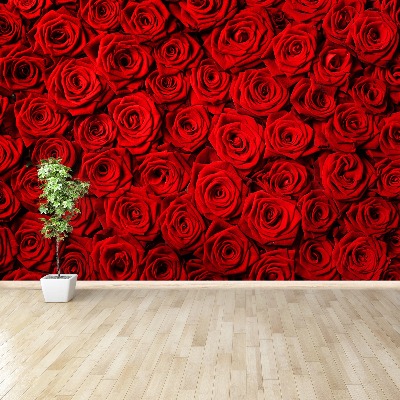 Fototapeta Czerwone róże