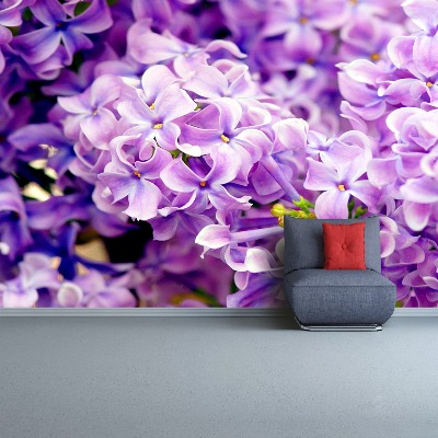Fototapeta Fioletowe kwiaty