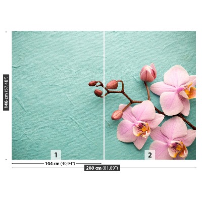 Fototapeta Orchidea Różowy