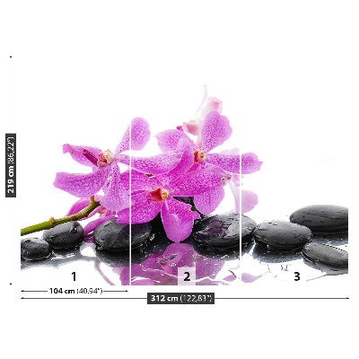 Fototapeta Różowa orchidea