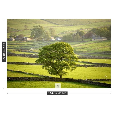 Fototapeta Anglia Derbyshire