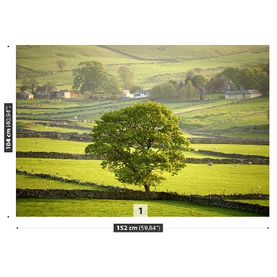 Fototapeta Anglia Derbyshire