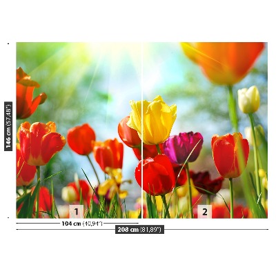 Fototapeta Kwiaty tulipany