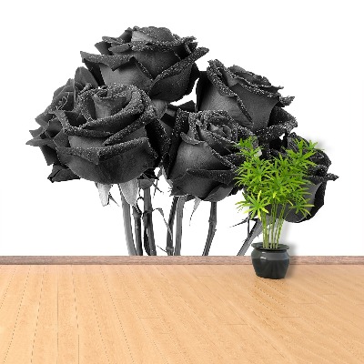 Fototapeta Czarne róże