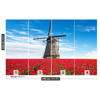 Fototapeta Tulipany wiatrak