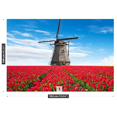 Fototapeta Tulipany wiatrak