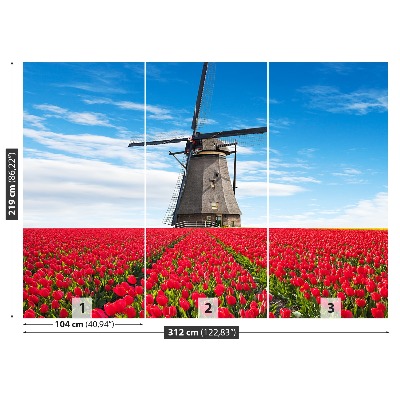 Fototapeta Tulipany wiatrak