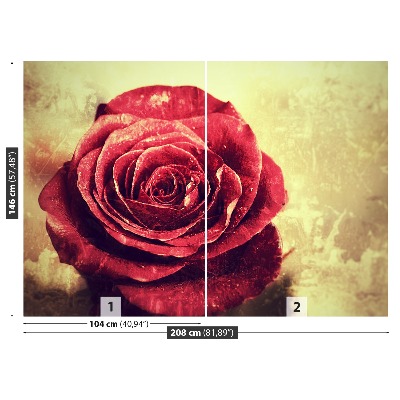 Fototapeta Czerwona róża