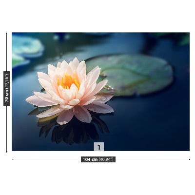 Fototapeta Kwiat lotosu Staw
