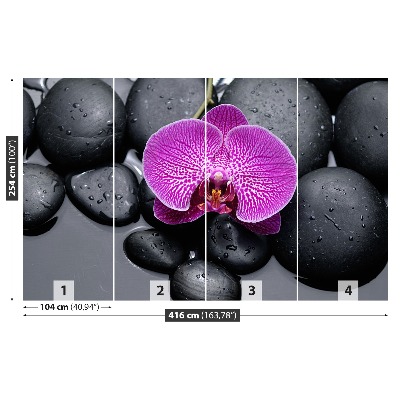 Fototapeta Orchidea Kamienie