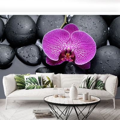 Fototapeta Orchidea Kamienie