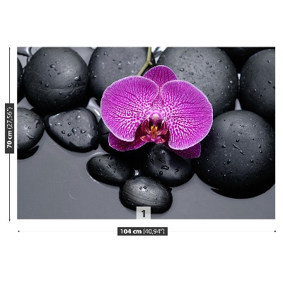 Fototapeta Orchidea Kamienie