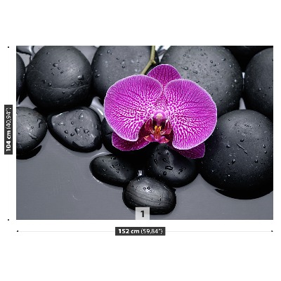 Fototapeta Orchidea Kamienie