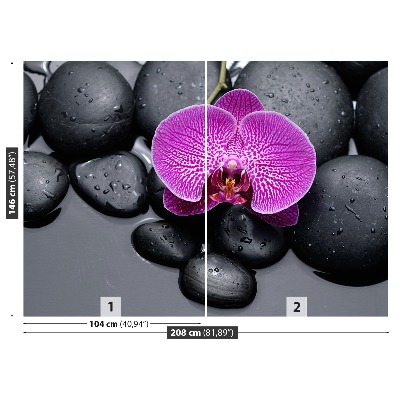 Fototapeta Orchidea Kamienie