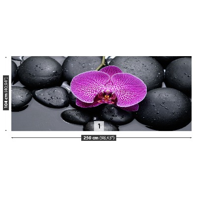 Fototapeta Orchidea Kamienie