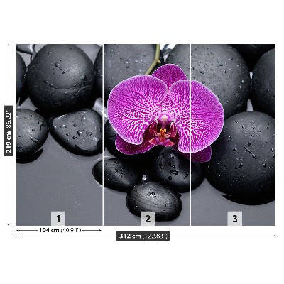 Fototapeta Orchidea Kamienie