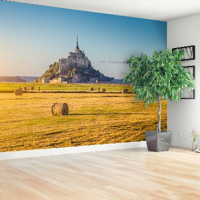 Fototapeta Le Mont SaintMichel