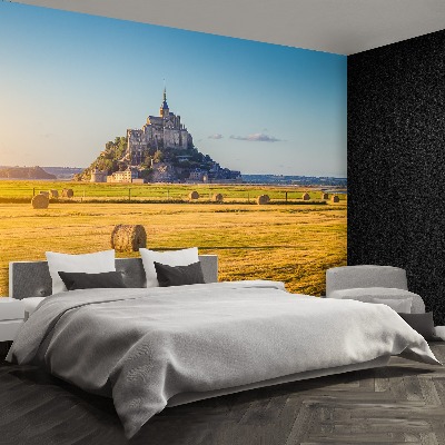 Fototapeta Le Mont SaintMichel