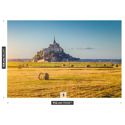 Fototapeta Le Mont SaintMichel