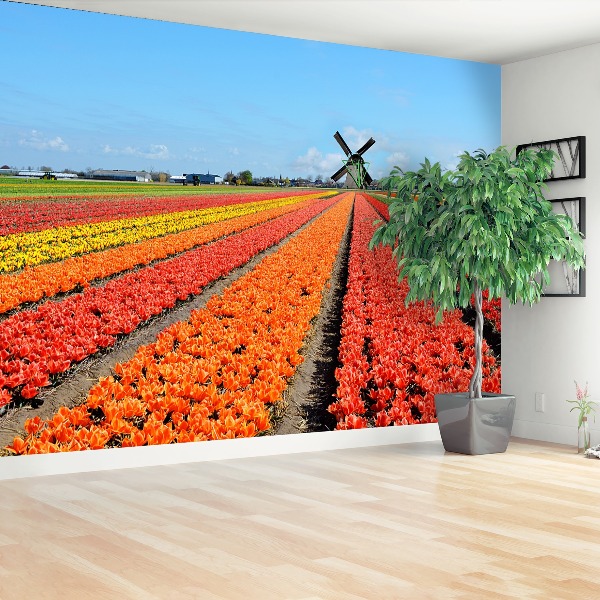 Fototapeta Wiatrak Tulipany