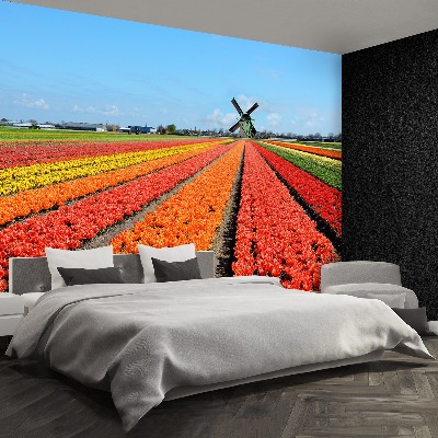 Fototapeta Wiatrak Tulipany