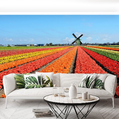 Fototapeta Wiatrak Tulipany