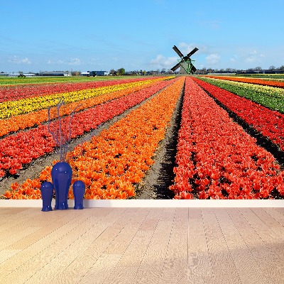 Fototapeta Wiatrak Tulipany