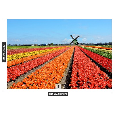 Fototapeta Wiatrak Tulipany