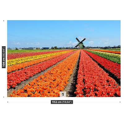 Fototapeta Wiatrak Tulipany