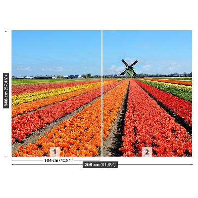 Fototapeta Wiatrak Tulipany